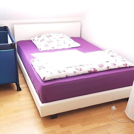 Familienfreundliche Apartments Am Park - Family Apartments Close To Park فورتسبورغ المظهر الخارجي الصورة